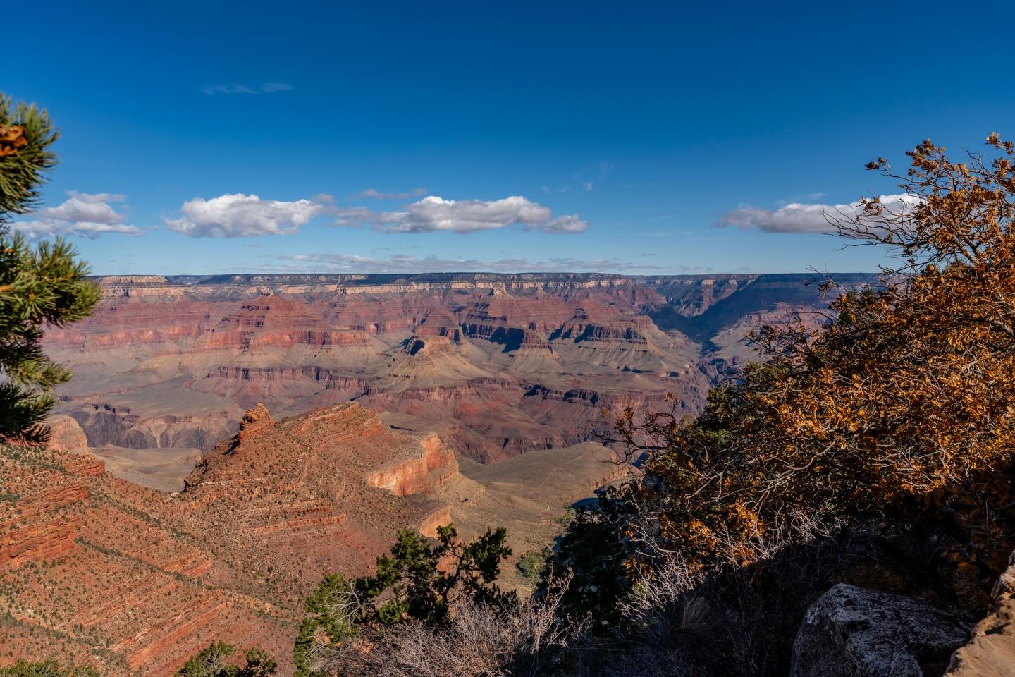 The beauty seems endless 
Taken: Grand Canyon Village, Arizona

•
•
•
•
• 

#arizona #grandcanyonnationalpark #fernweh_image #nature #outdoors