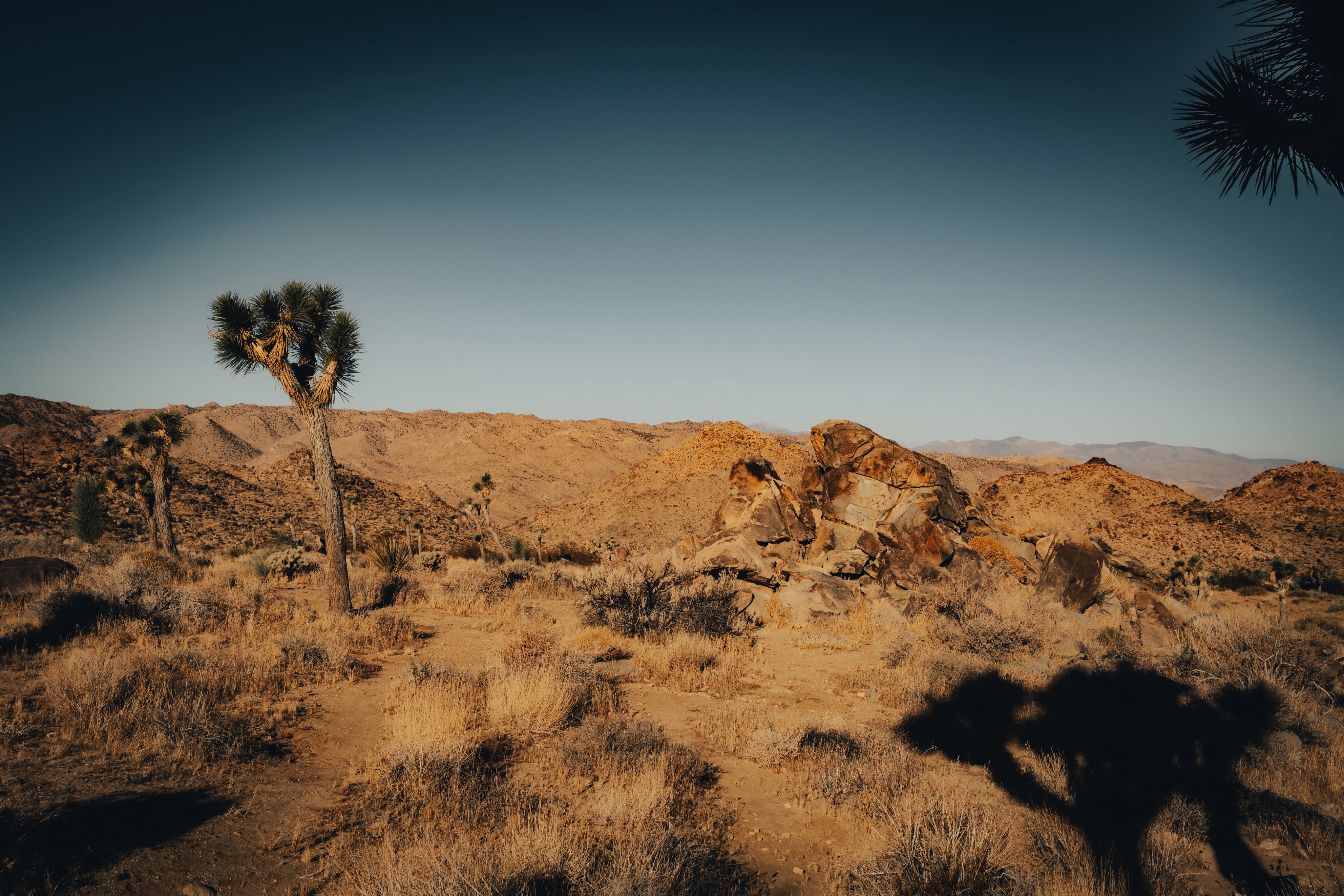 The calm and beauty a place has is quite a thing to experience. 
Taken: Twentynine Palms, California 

•
•
•
•
• 

#california #joshuatreenationalpark #fernweh_image #travel #nature